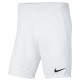 Nike Παιδικό σορτς Dri-FIT Park 3 Shorts